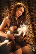 Foto Annunci Girl Verbania Alessa Venezuelana - 36