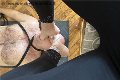 Foto Annunci Mistress Cuneo Julia - 13