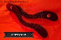 Foto Annunci Mistress Padova Fantasia - 115