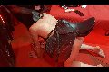 Foto Annunci Mistress Padova Fantasia - 48