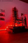 Foto Annunci Mistress Vicenza Madame Jacqueline Domina - 13