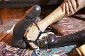 Foto Annunci Mistresstrans Roma Catadeya - 59