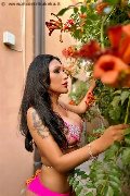 Foto Annunci Trans Modena Anita Bellezza Esotica - 69