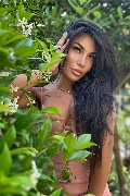 Foto Annunci Trans Parma Mandy Asiatica - 5