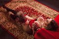 Foto Annunci Trans Reggio Calabria Isabella Santos - 43