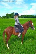 Foto Annunci Trans Treviso Valeria - 76