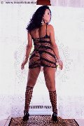 Foto Annunci Transescort Alessandria Pamela Trans Fitness - 107