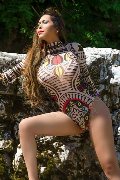 Foto Annunci Transescort Bergamo Erotika Flavy Star - 72