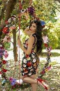 Foto Annunci Transescort Bologna Ariadna - 74