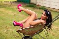 Foto Annunci Transescort Gallarate Thalita Top Xxxl - 21