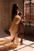 Foto Annunci Transescort Milano Al�cia Lins - 23