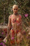 Foto Annunci Transescort Milano Ath�na - 2