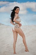 Foto Annunci Transescort Modena Vanessa Hilton - 103