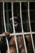 Foto Annunci Transescort Padova Campbell - 148