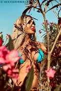 Foto Annunci Transescort Pescara Chrystal Medeiros Pornostar - 35