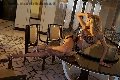 Foto Annunci Transescort Roma Rebecca Ferraz Pornostar - 20