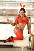 Foto Annunci Trav Milano Kate - 35