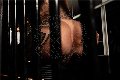 Foto Hot Annunci Trans Pavia Bruna Xxl - 3