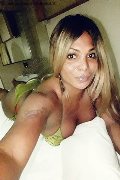 Cuneo Trans Carolina Hot 327 81 47 101 foto selfie 18