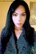 Martinsicuro Trans Kelly Melo Pornostar 350 80 96 697 foto selfie 17