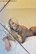 Padova Trans Campbell 393 33 57 541 foto selfie 10