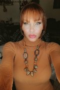 Treviso Trans Valeria 338 87 18 849 foto selfie 255