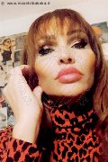 Treviso Trans Valeria 338 87 18 849 foto selfie 258