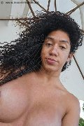 Busto Arsizio Trans Escort Amanda Ferr� 347 53 82 615 foto selfie 1