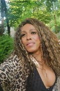 Mestre Trans Escort Paolina Mulatta 333 29 10 933 foto selfie 3