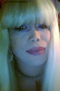 Milano Trans Escort Nicole Vip Venturiny 353 35 38 868 foto selfie 993