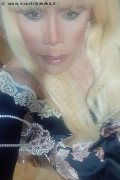 Milano Trans Escort Nicole Vip Venturiny 353 35 38 868 foto selfie 186