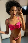 Novara Trans Escort Miele 331 78 08 280 foto selfie 30