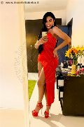 Olgiate Olona Trans Escort Ariadna 388 75 19 396 foto selfie 21