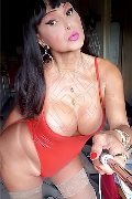 Quarto D'altino Trans Escort Roberta Kelly 331 54 00 919 foto selfie 61