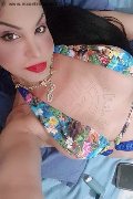 Roma Trans Escort Rosa Xxxl 328 74 36 345 foto selfie 72