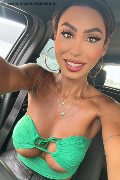  Trans Escort Thayys Castro 329 72 89 046 foto selfie 12