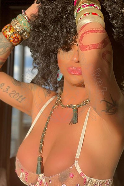 Serena  UDINE 3271309016