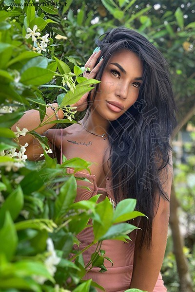 Mandy Asiatica  COMO 3270531479