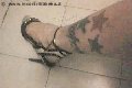 Foto Annunci Transescort Napoli Suzana Pantera - 64