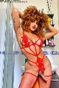 Foto Hot Annunci Trans Milano Stella - 5