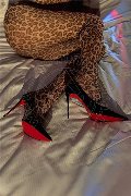 Milano Trans Nicole Andrade 329 89 48 041 foto selfie 1