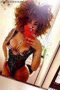 Milano Trans Stella 329 55 63 971 foto selfie 1