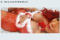 Frosinone Trans Escort Wanessa Ambrosio 351 80 69 231 foto selfie 145